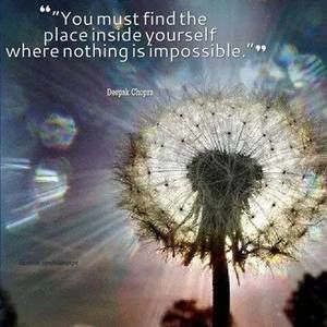 Meet your Posher, Joy